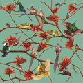 Coral Tree Wallpaper