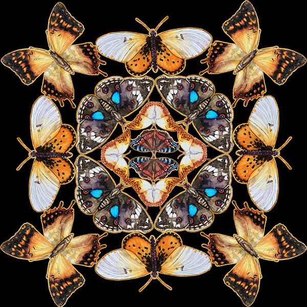 Butterfly Kaleidoscope Fabric - Small Design